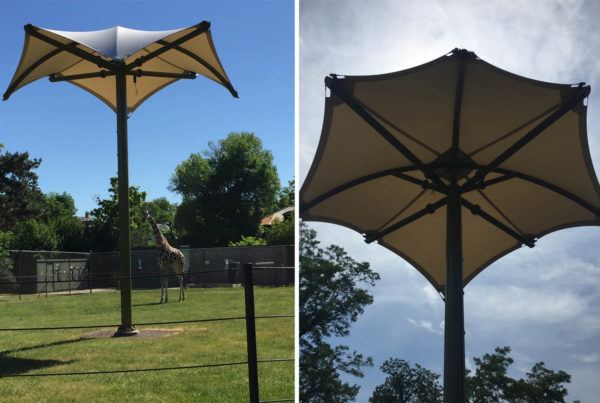 Buffalo Zoo Tensile Membrane Structure